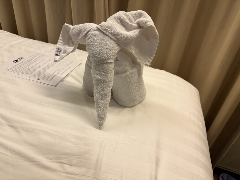 a towel folded into an elephant