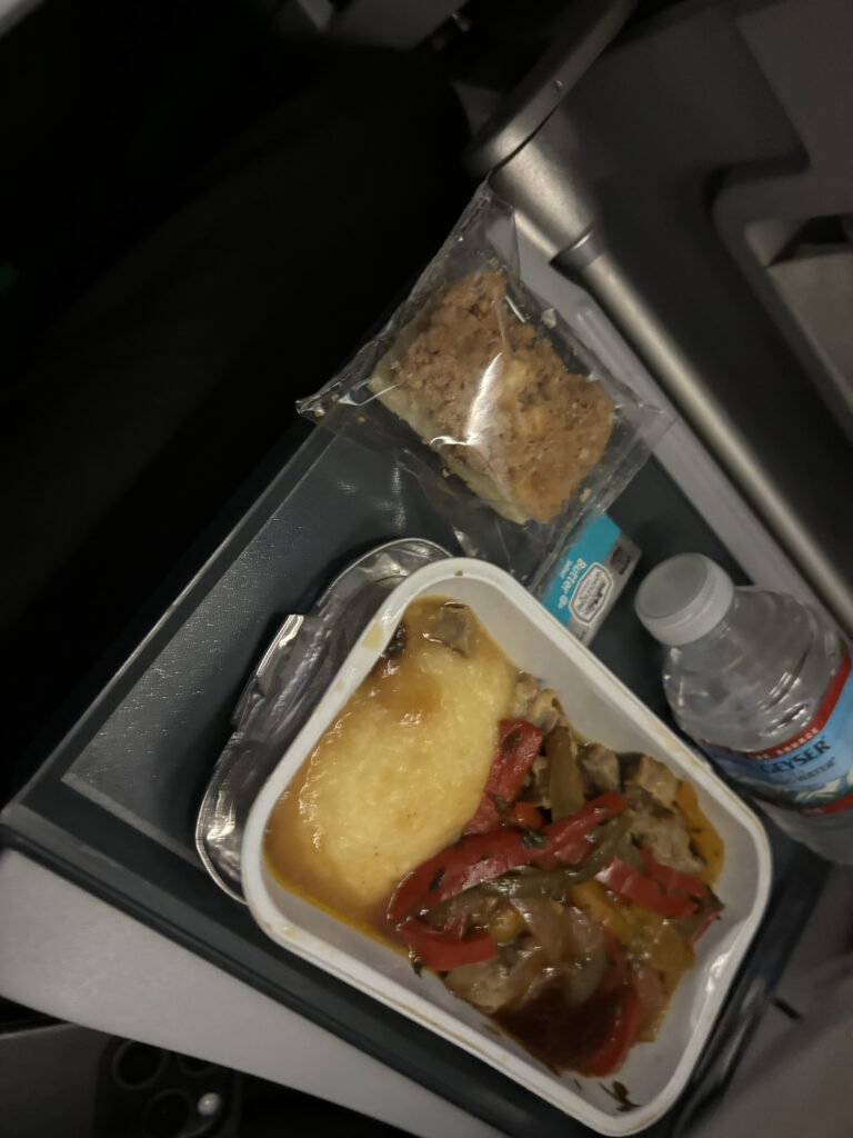 food on a tray on a plane