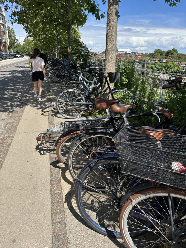 Bicycles in Copenhagen
