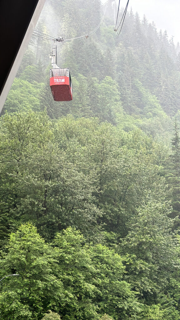 a cable car in the air