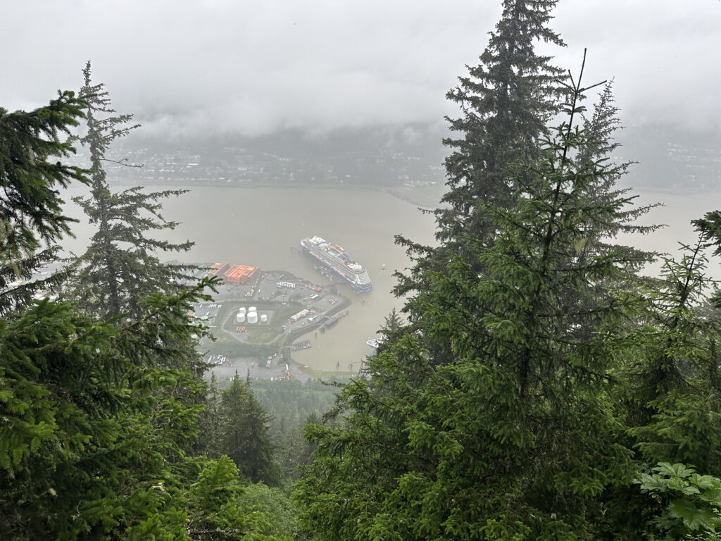 a view of a city and a body of water from a hill