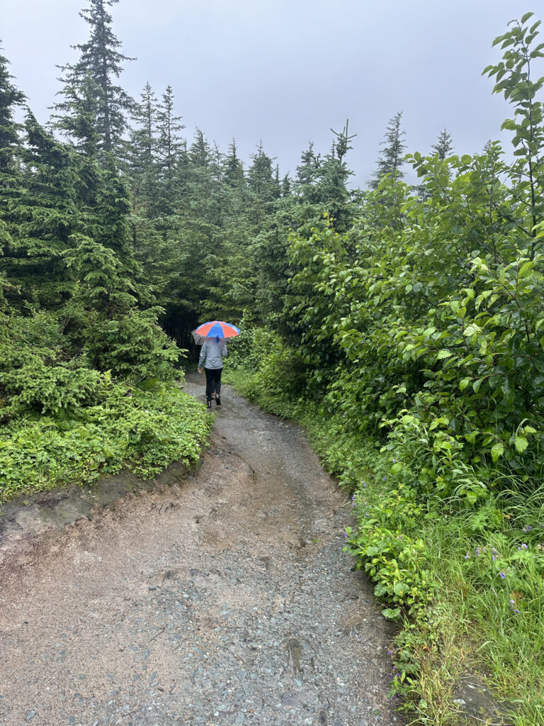 a person walking on a path with an umbrella