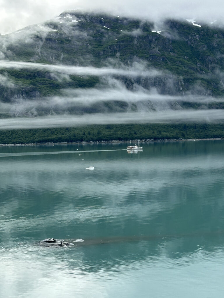 a boat in the water