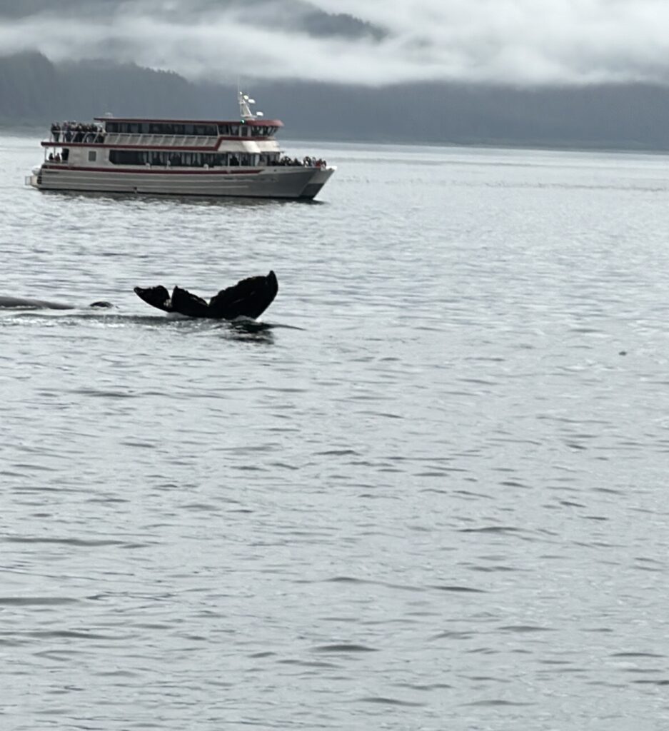 a whale tail in the water with a boat in the background