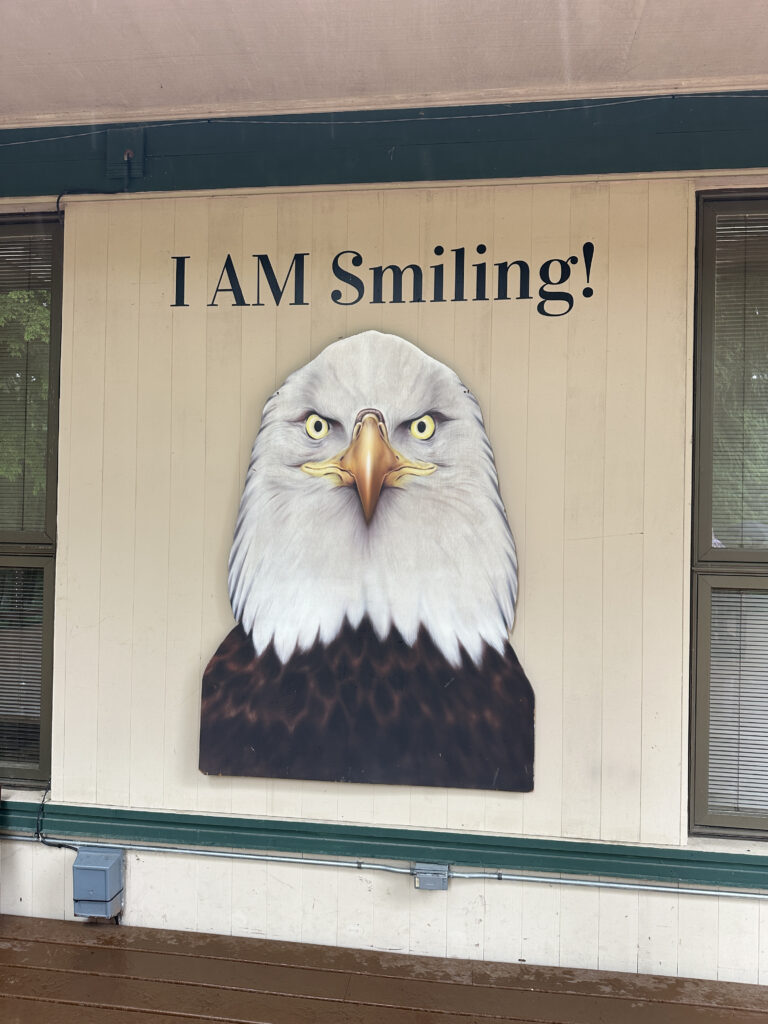 a painting of an eagle on a wall