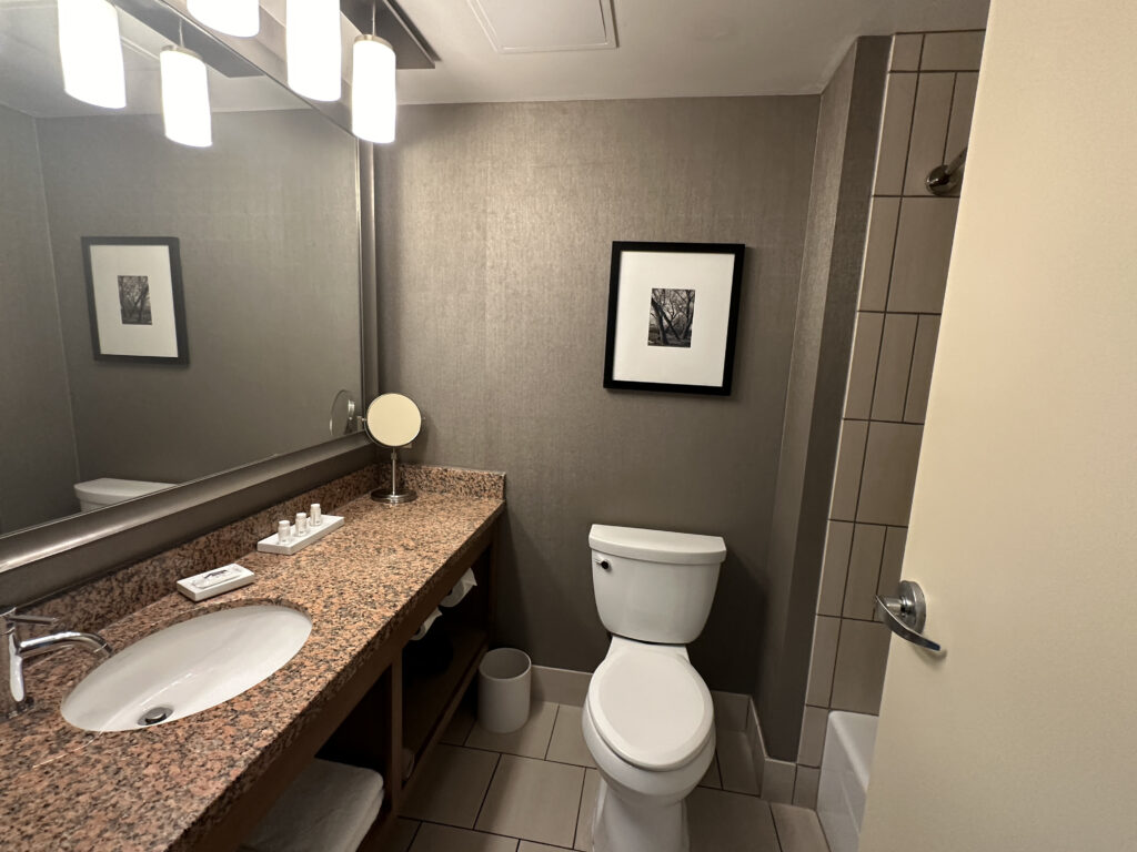 a bathroom with a marble countertop and a toilet