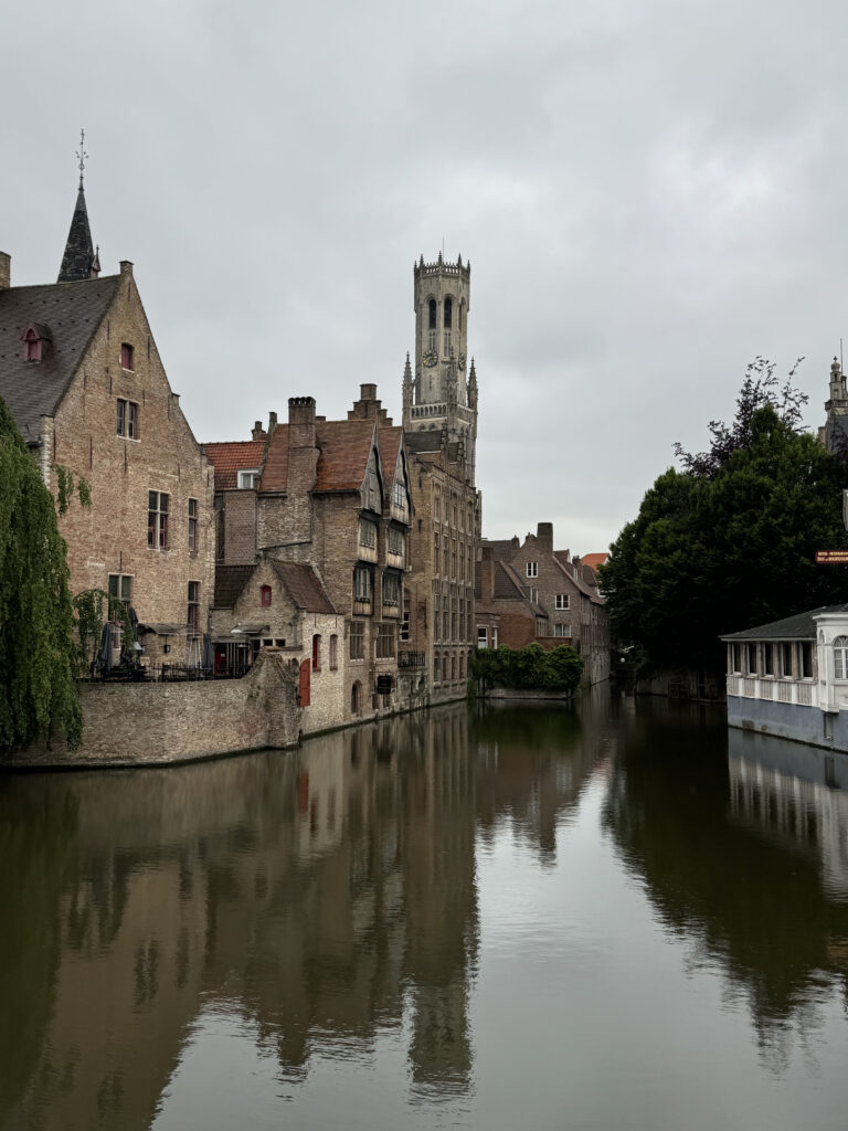 a river with buildings and trees
