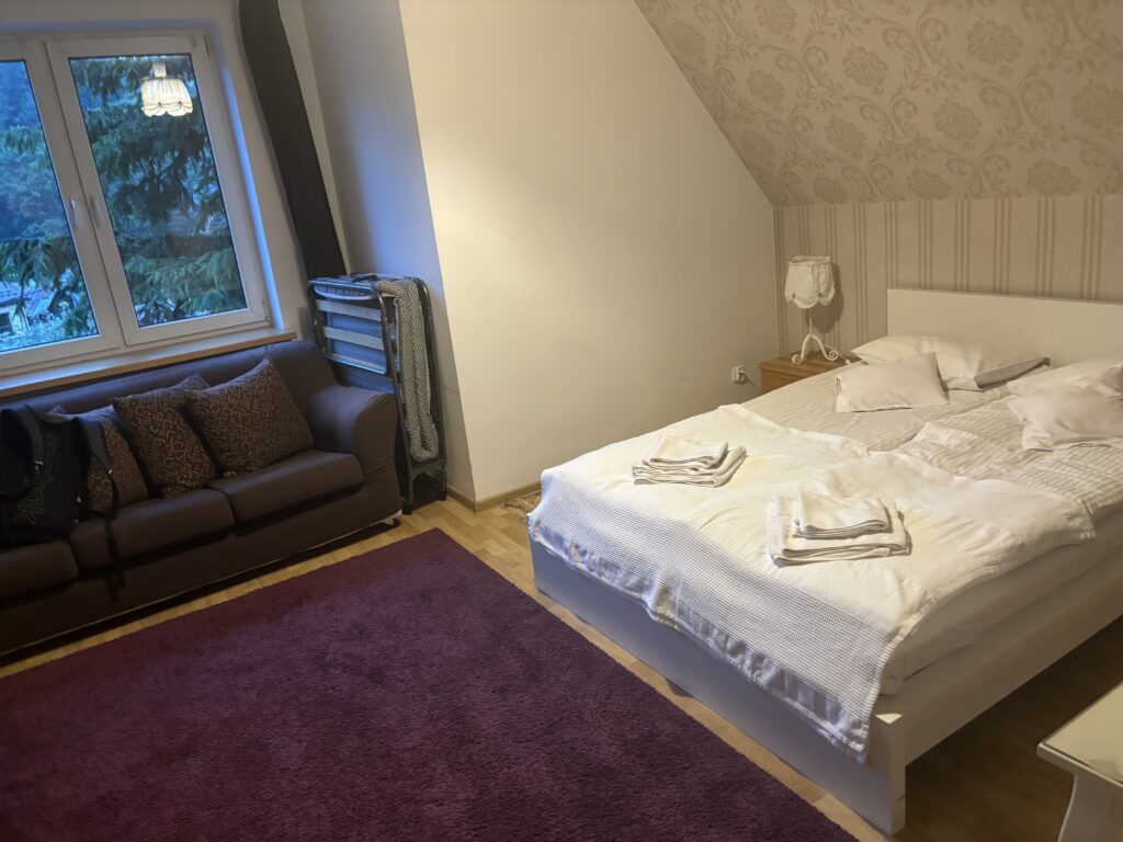 a bedroom with a purple rug and a bed