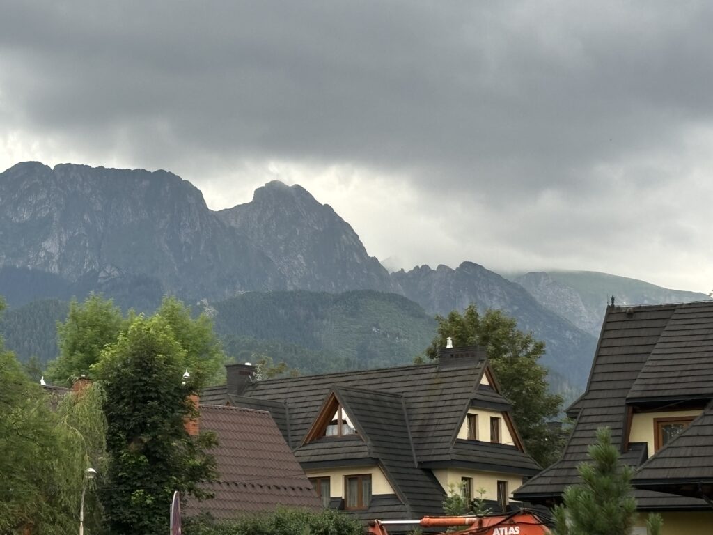 a group of houses with trees and mountains in the background