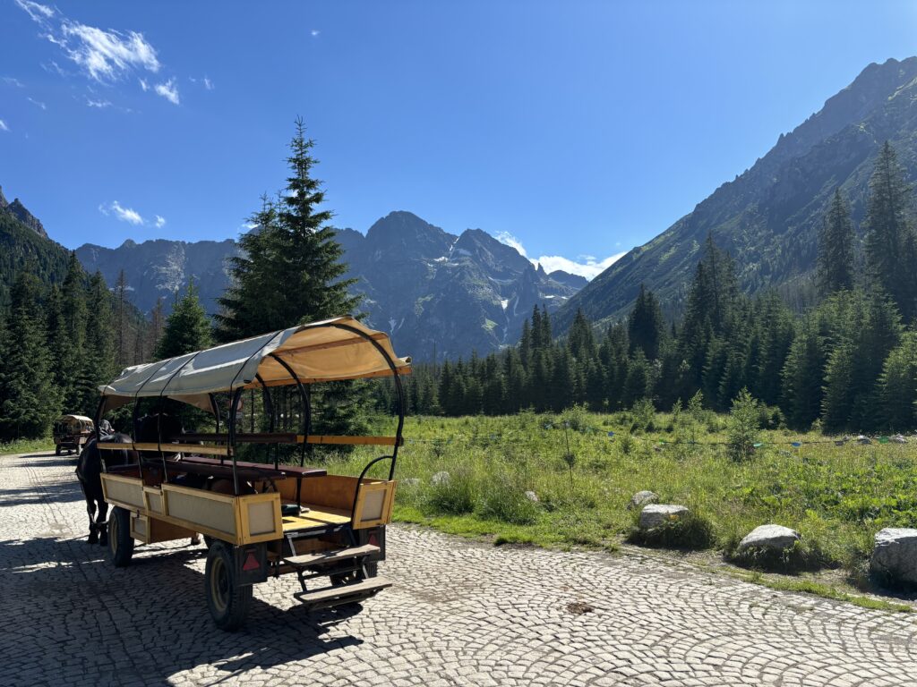 a trailer with a canopy on it