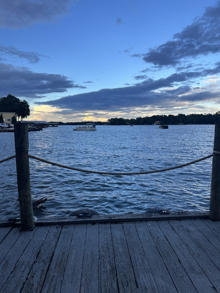 a dock with rope railings and a body of water