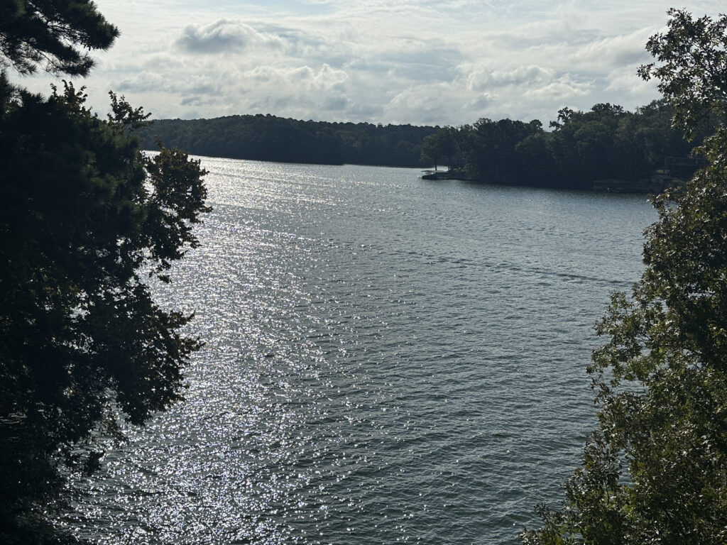 a body of water with trees and a boat on it