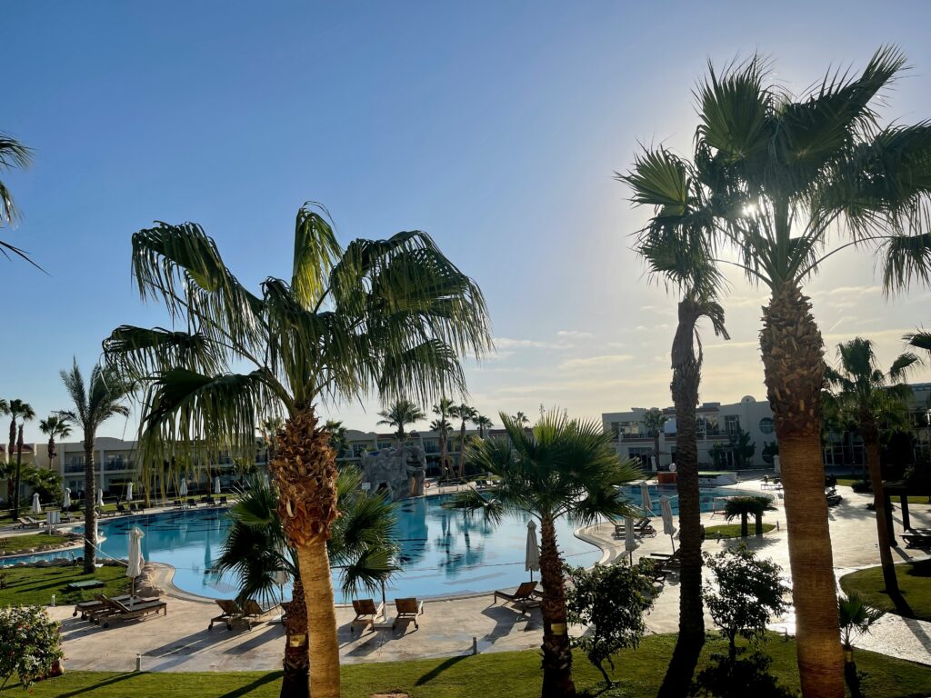 a pool with palm trees and a building
