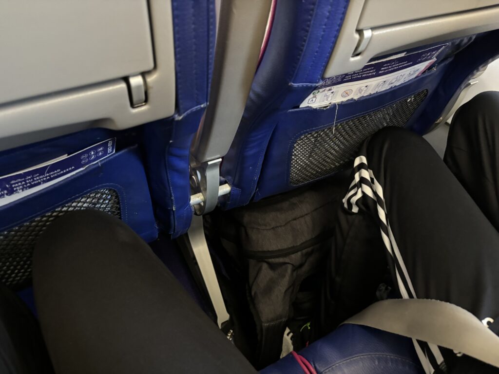 a person's legs in a seat belt