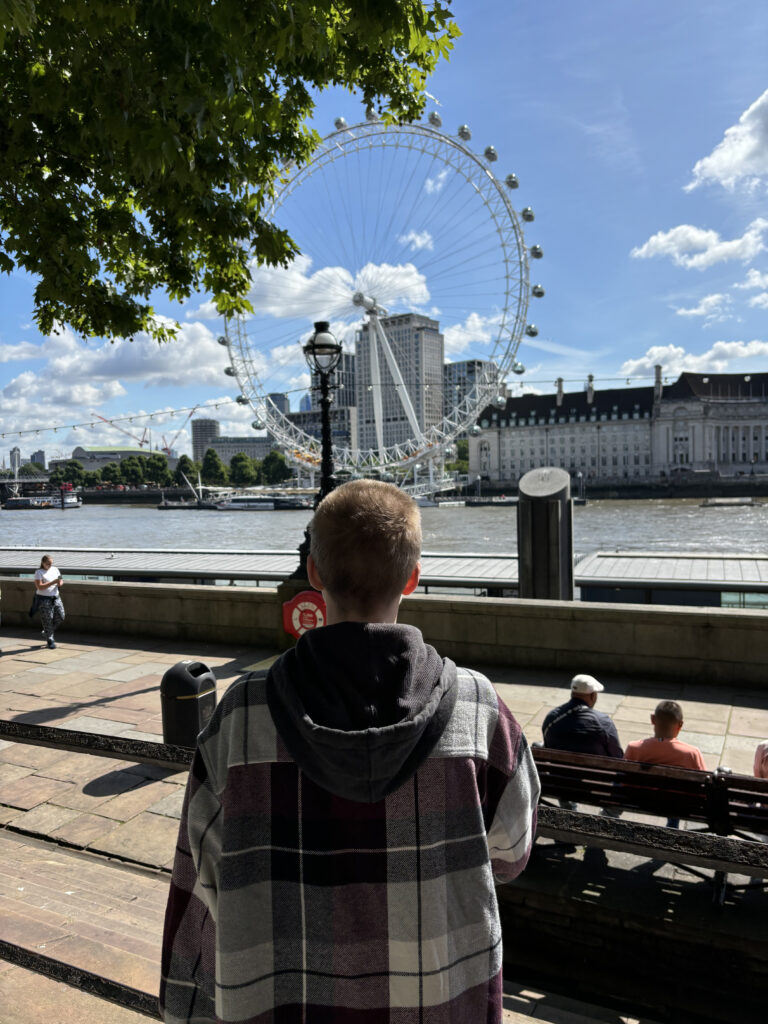a person looking at a ferris wheel