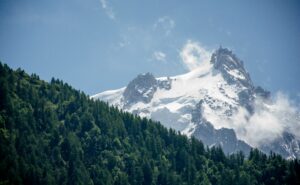a snowy mountain with trees in the background