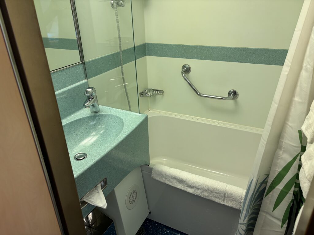 a bathroom with a sink and shower