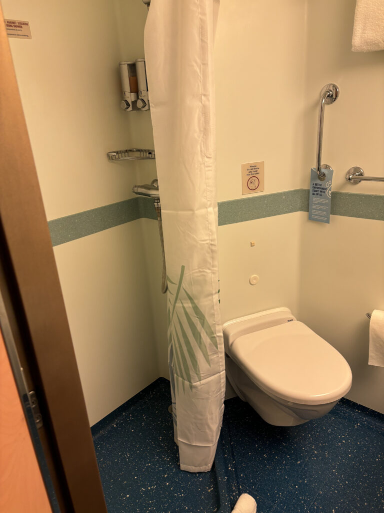 a bathroom with a toilet and shower curtain