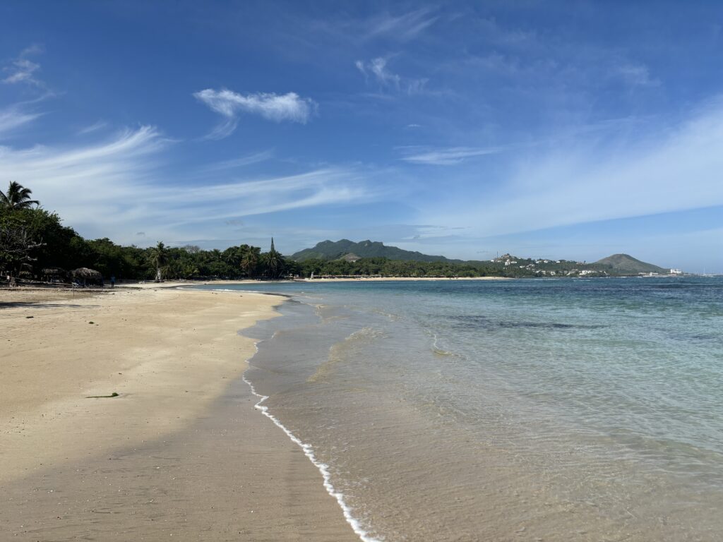a beach with trees and blue sky