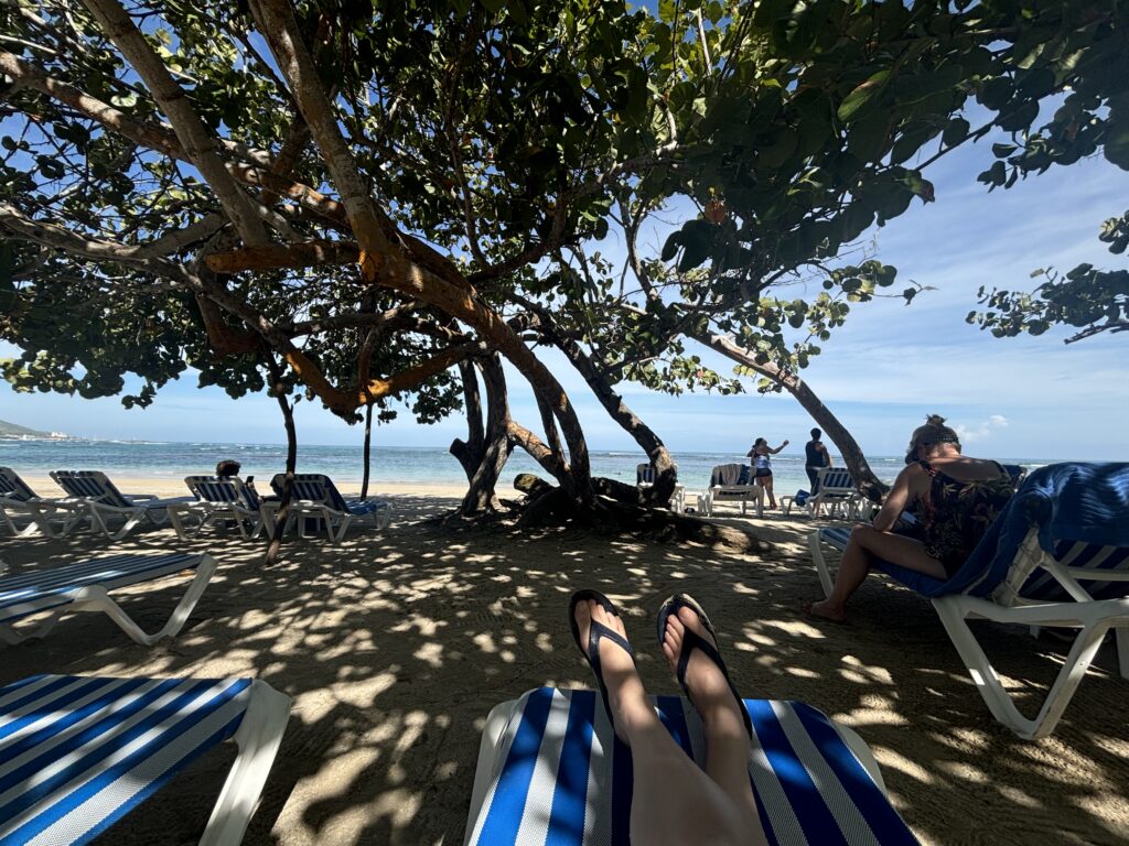 people sitting on a beach chair under a tree