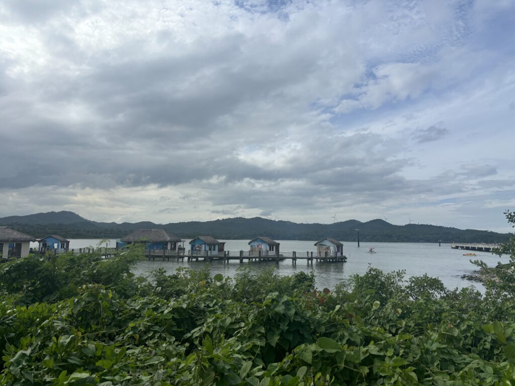 a group of houses on a dock