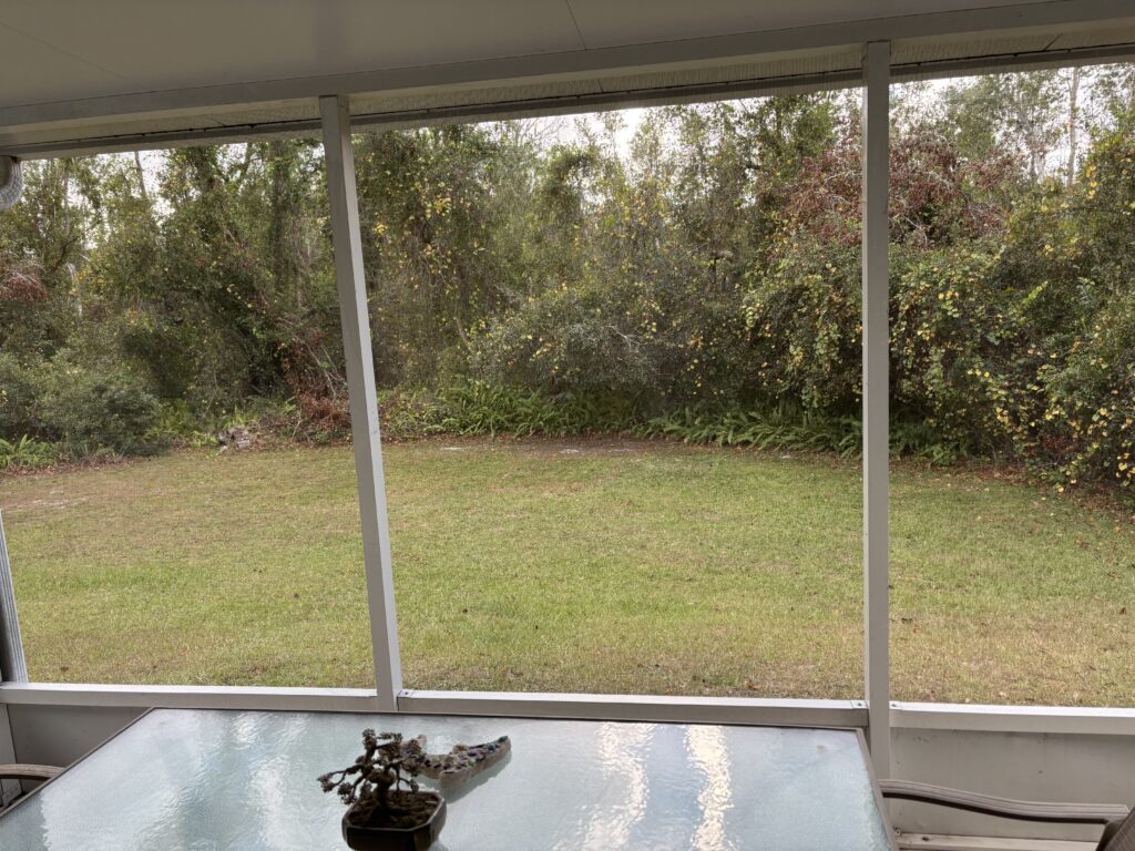 a window with a view of a grass yard and trees