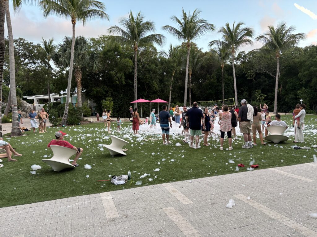 a group of people in a park with foam balls