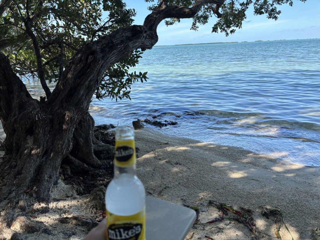a hand holding a bottle of beer on a beach