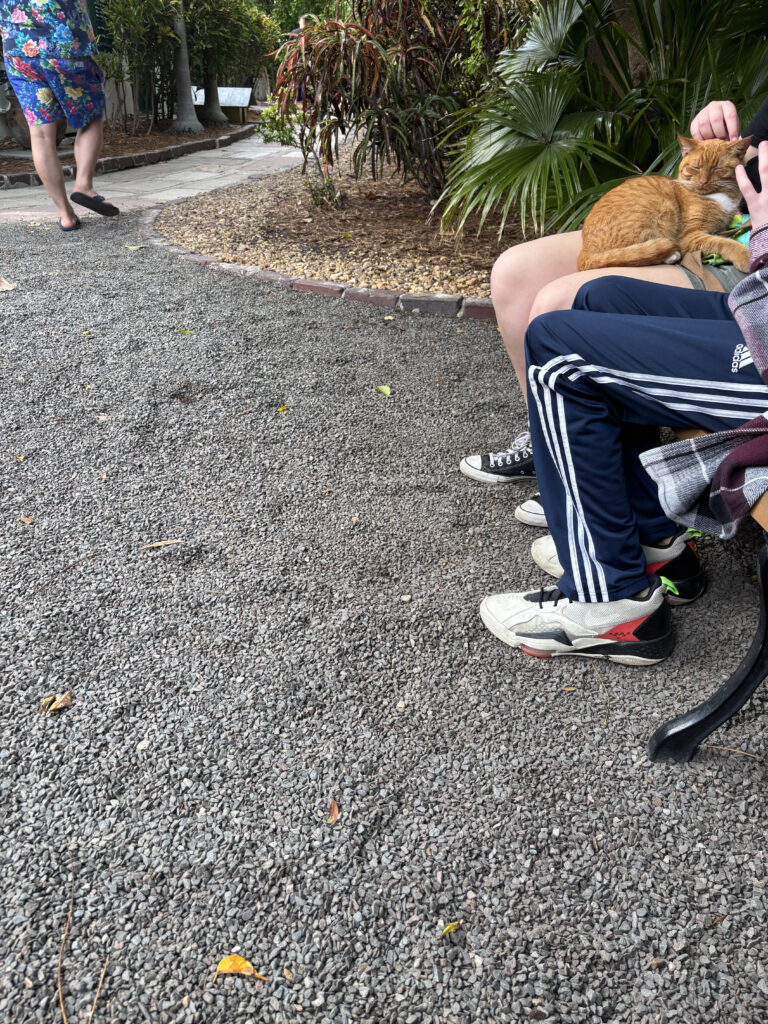 a group of people sitting on a bench with a cat