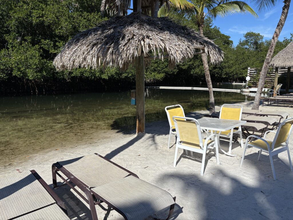 a beach with chairs and umbrellas