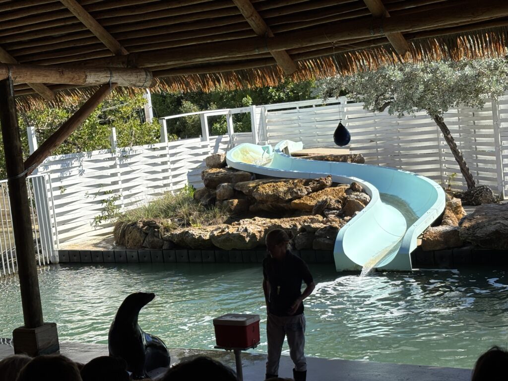 a person standing in front of a water slide