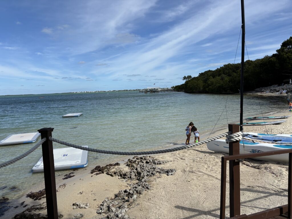 a couple of people on a beach