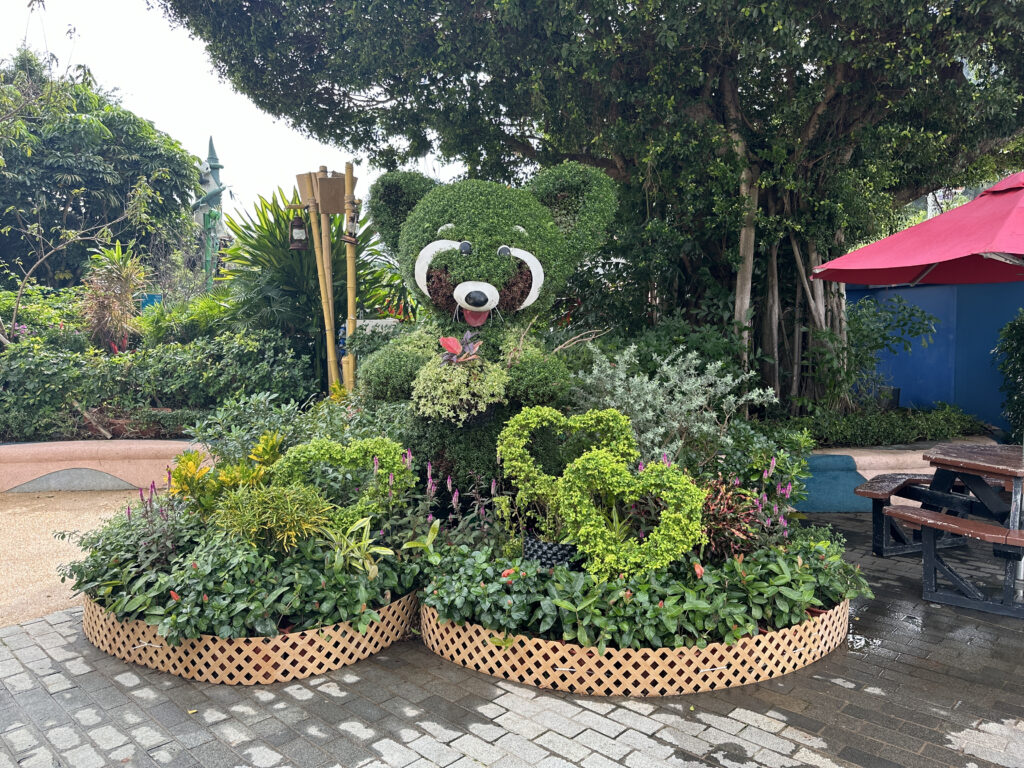 a plant shaped like a bear