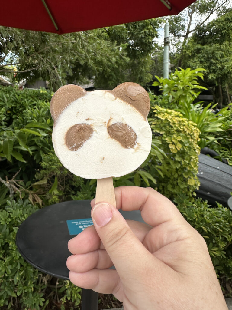 a hand holding a popsicle with a panda face