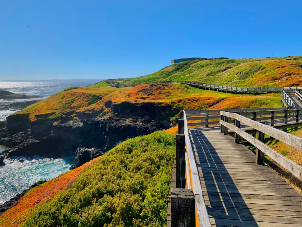 a wooden walkway over a cliff