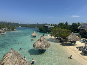 a group of people in a body of water with straw umbrellas