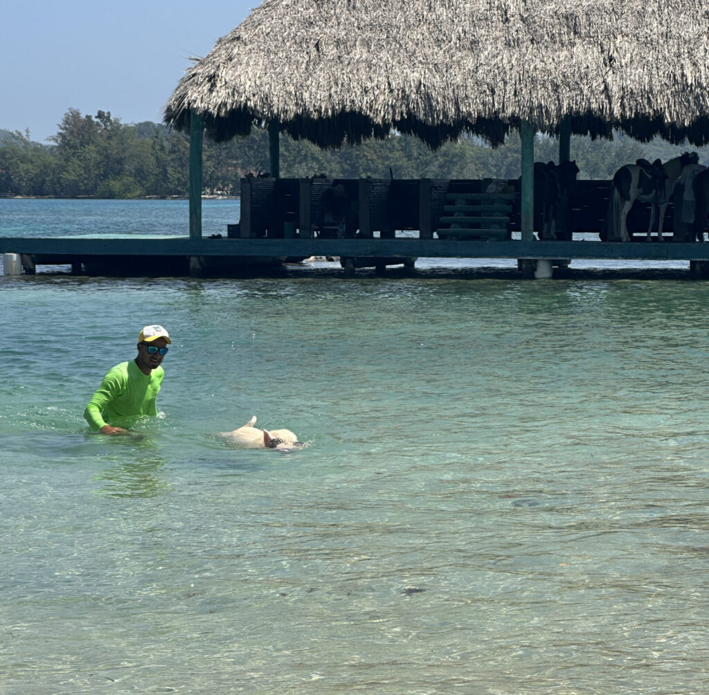 a man in a green shirt and sunglasses swimming in the water with a dog