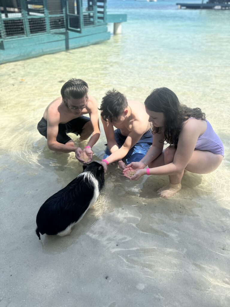 a group of people feeding a dog