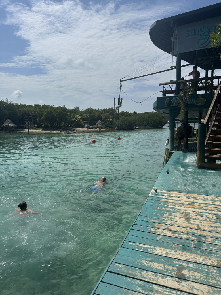 people swimming in the water