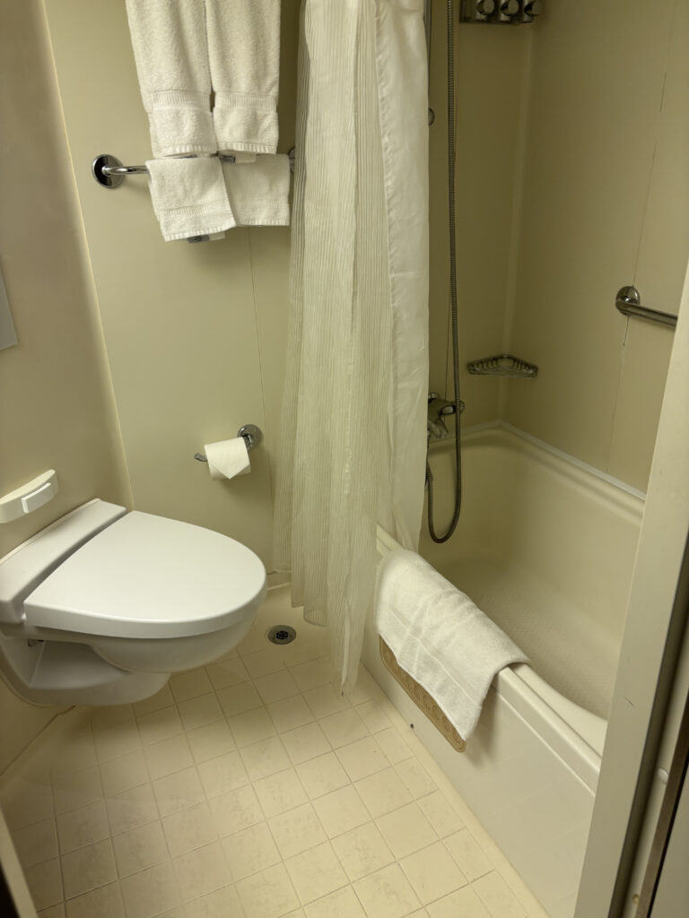 a bathroom with a toilet and bathtub