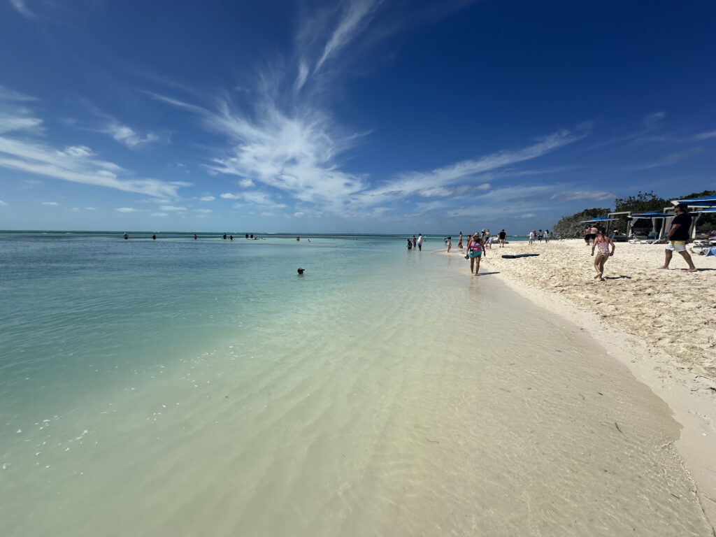 a beach with people and water
