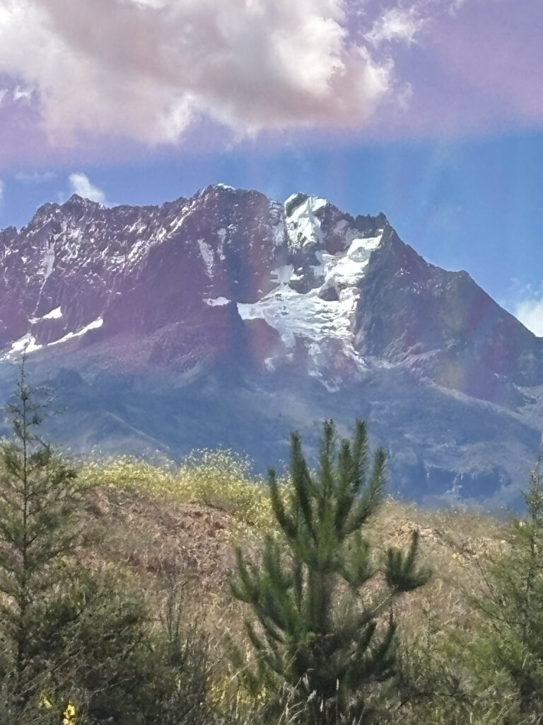 A snow-capped mountain under a partly cloudy sky, with a foreground of green trees and grassy terrain.