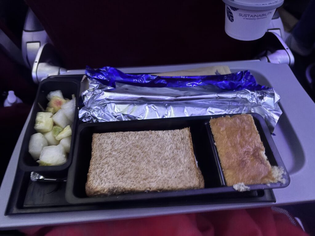 The image shows an airplane meal on a tray table. The meal includes a small container of mixed fruit pieces, a sandwich with whole grain bread, and a piece of cake. There is also a wrapped item, possibly a snack or utensil, and a cup with a sustainability message on it. The tray is set against the backdrop of an airplane seat.