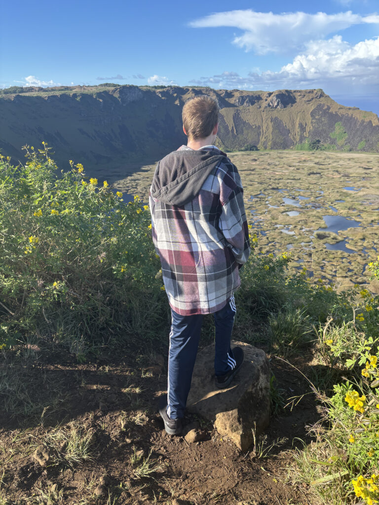 A person wearing a plaid jacket and dark pants stands on a rock, overlooking a large crater with a grassy and marshy landscape. The sky is clear with a few clouds, and there are yellow flowers and greenery in the foreground.