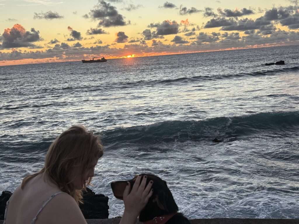 A person is sitting by the ocean, petting a dog. The sun is setting on the horizon, casting a warm glow over the water. A ship is visible in the distance, and the sky is filled with scattered clouds.