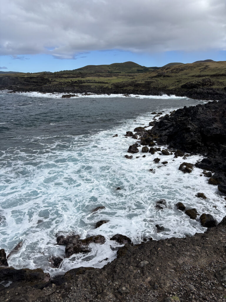 A rocky coastline with waves crashing against the dark rocks. The ocean is a deep blue with white foam. In the background, there are grassy hills under a cloudy sky.
