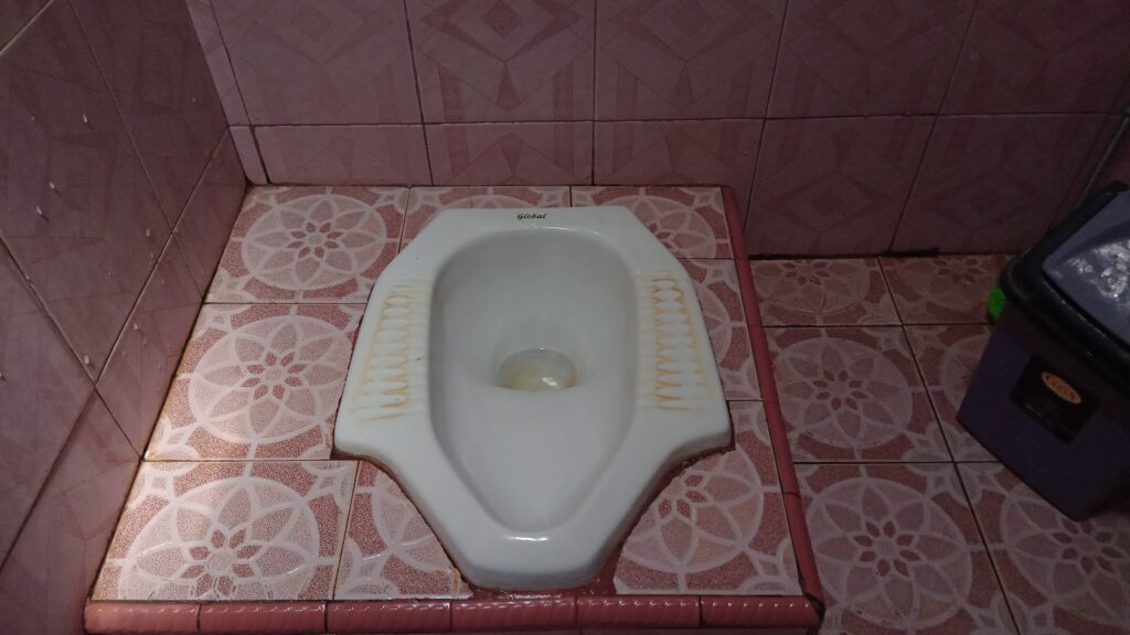 The image shows a squat toilet installed on a tiled floor with a floral pattern. The walls are also tiled with a similar design. There is a plastic container or bin to the right of the toilet.