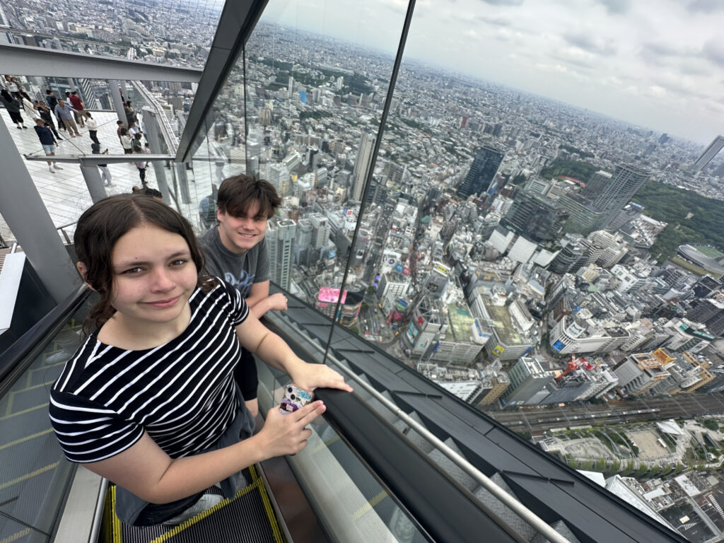 A young woman and a young man are standing on an outdoor observation deck with glass railings, overlooking a vast cityscape. The city below is densely packed with buildings, and the sky is cloudy. The woman is holding a phone with a colorful case. Other people are visible on the deck in the background.