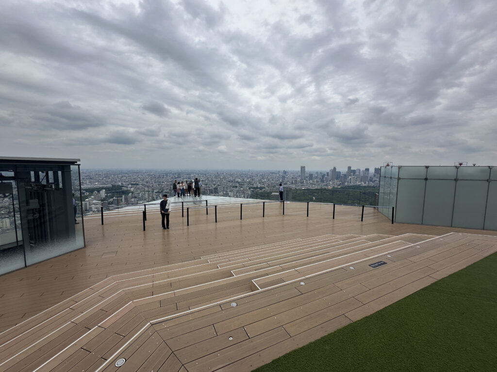 The image shows a rooftop observation deck with a wooden floor and glass railings. Several people are standing near the edge, looking out at a cityscape in the distance. The sky is overcast with thick clouds, and a large city with numerous buildings is visible below. There is a small grassy area on the right side of the deck.