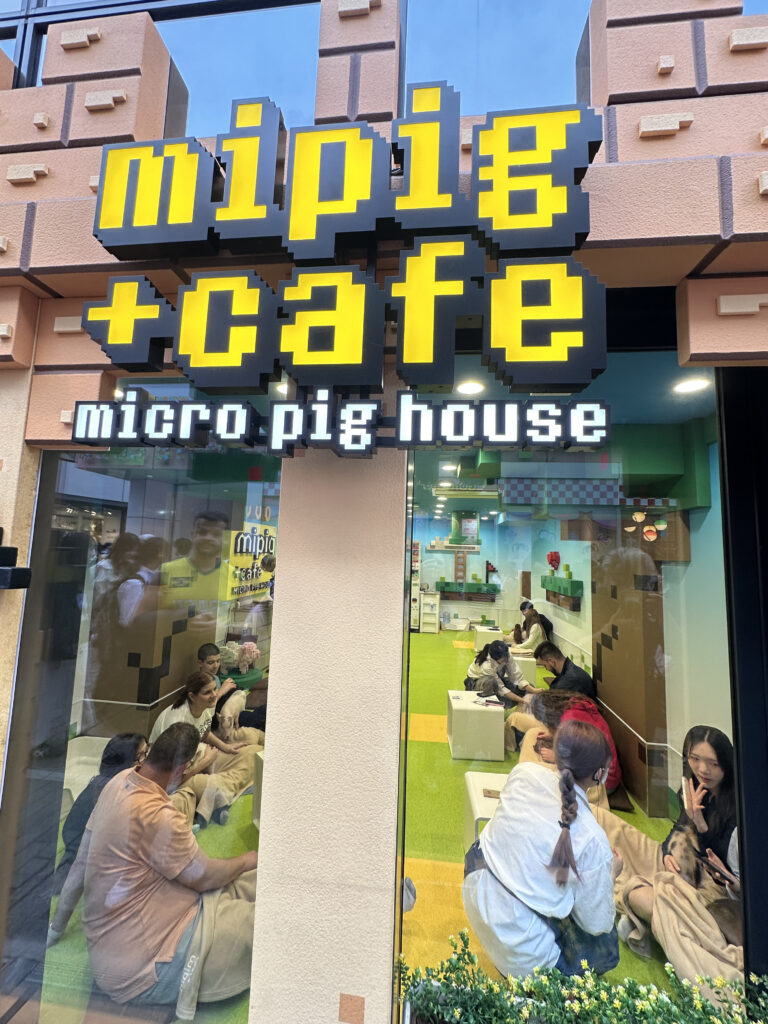 The image shows the exterior of a building with a sign that reads "mipig cafe micro pig house" in pixelated yellow and white letters. Through the large window, people are visible inside sitting on the floor, interacting with small pigs. The interior has a bright, playful design with green flooring and small tables.